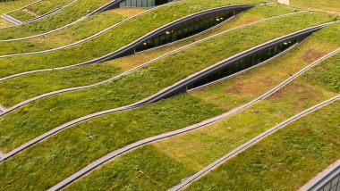 Climate Change: What does the future hold for health and life insurance? | Webinar